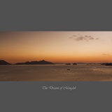 dailyPhoto20